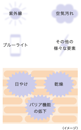 紫外線、空気汚れ、ブルーライト、その他の様々な要素⇒日やけ、乾燥、バリア機能の低下