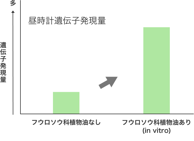 フウロソウ科植物油ありの方が昼時計遺伝子発現量が多い