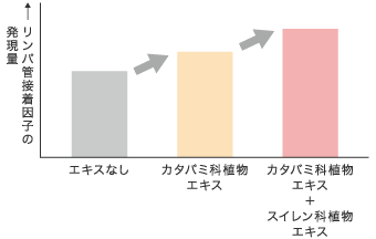 エキスなし、カタバミ科植物エキス、カタバミ科植物エキス＋スイレン科植物エキスのリンパ管接着因子の発現量の棒グラフ