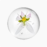 CP-SE成分(保湿成分)イメージ