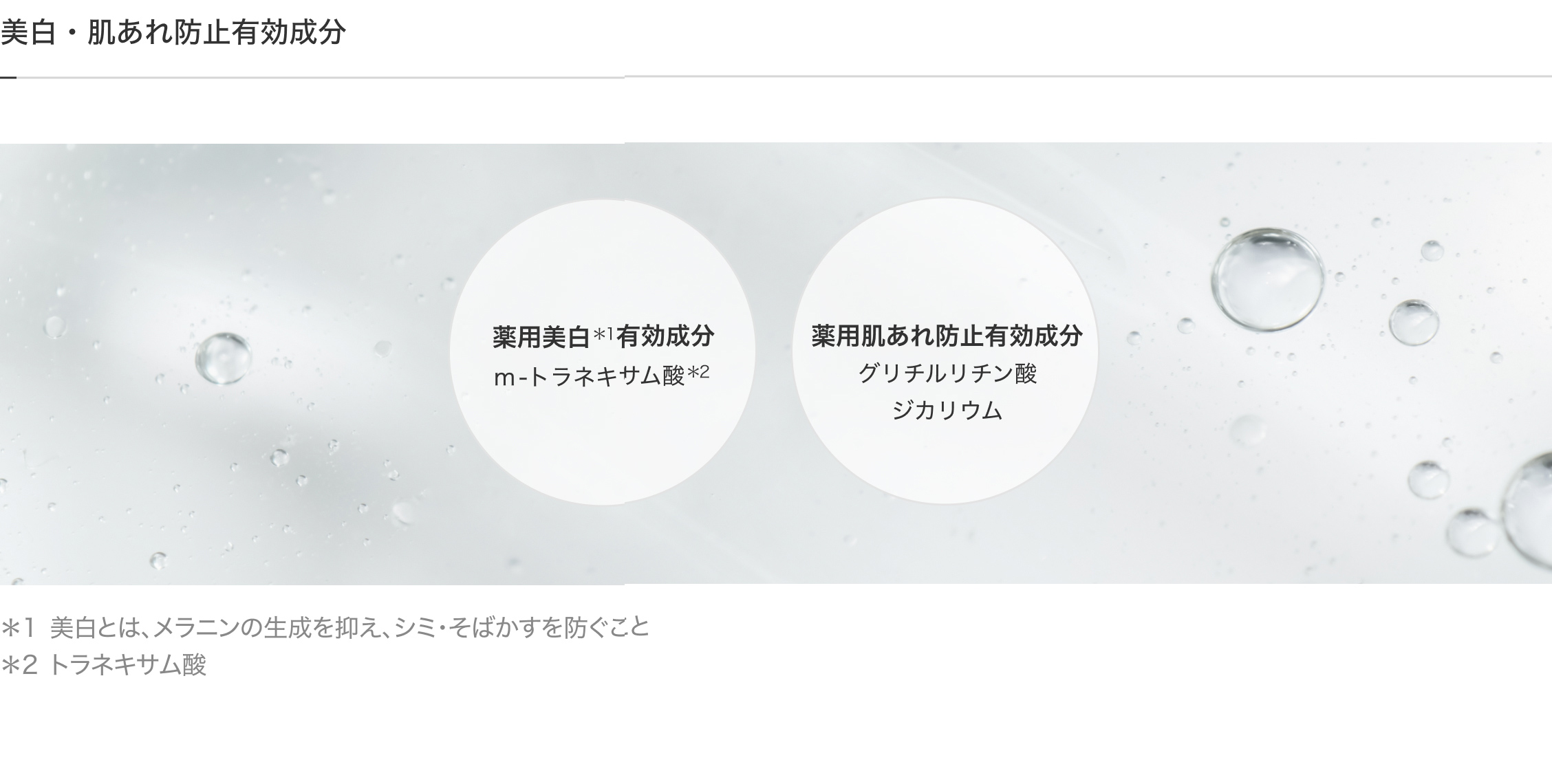 美白・肌あれ防止有効成分