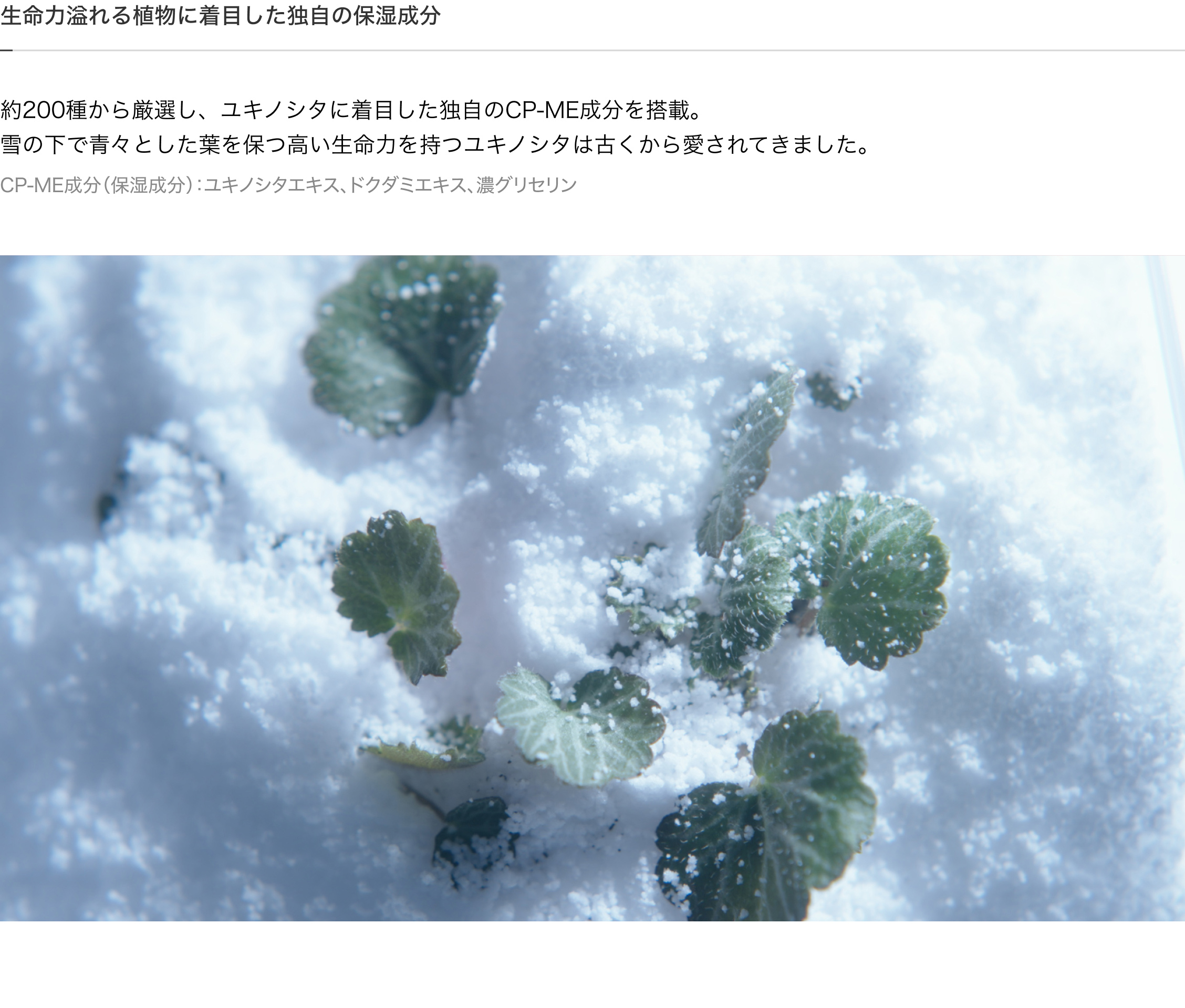 生命力溢れる植物に着目した独自の保湿成分