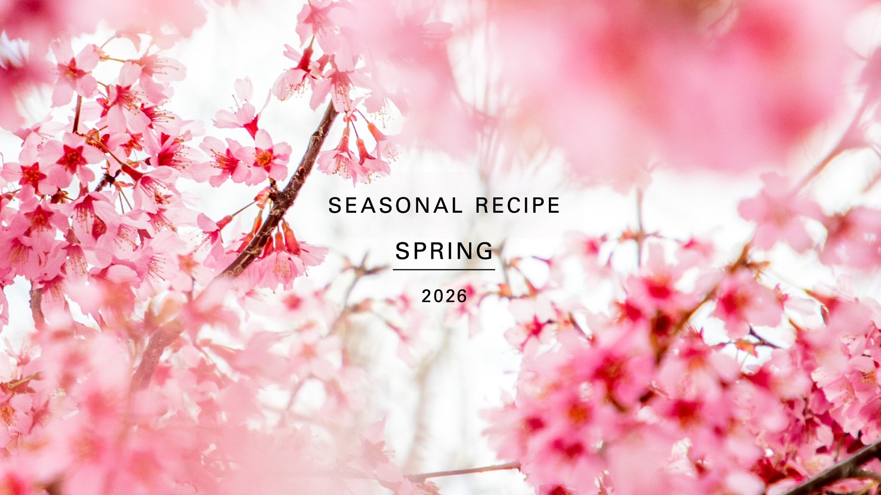 IPSA 公式サイト