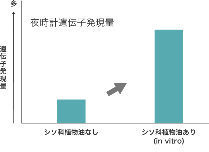 シソ科植物油ありの方が夜時計遺伝子発現量が多い