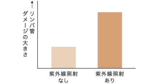 紫外線照射なし、紫外線照射ありのリンパ管ダメージの大きさの棒グラフ