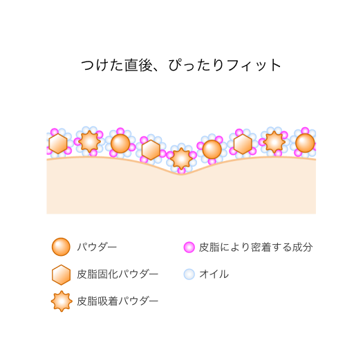 皮脂を味方にするメカニズム イメージ1