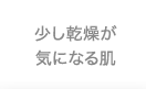 少し乾燥が気になる肌