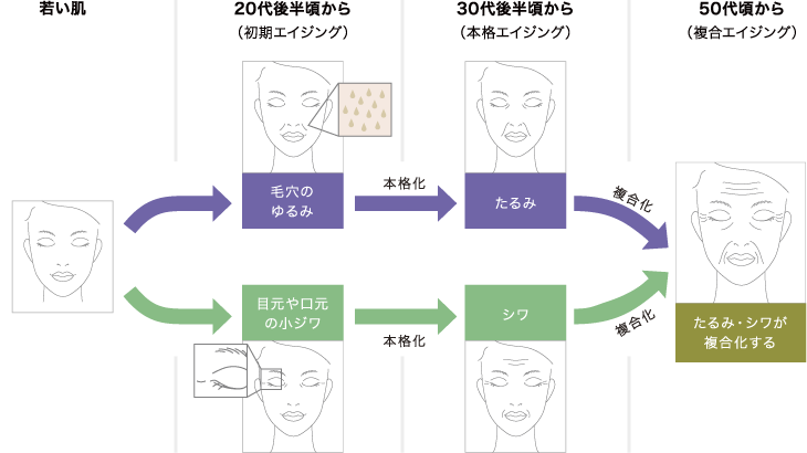 若い肌→20代後半頃から(初期エイジング):毛穴のゆるみ、目元や口元の小ジワ→本格化→30代後半頃から(本格エイジング):たるみ、シワ→複合化→50代頃から(複合エイジング):たるみ・シワが複合化する