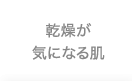 乾燥が気になる肌