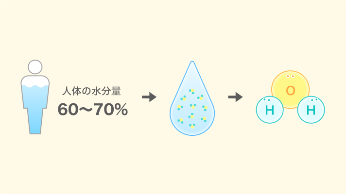 人体の水分量 60〜70%