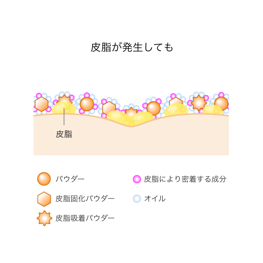 皮脂を味方にするメカニズム イメージ2