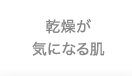 乾燥が気になる肌
