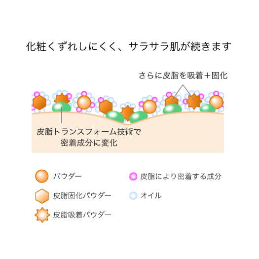 皮脂を味方にするメカニズム イメージ3