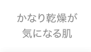 かなり乾燥が気になる肌