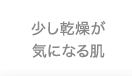 少し乾燥が気になる肌