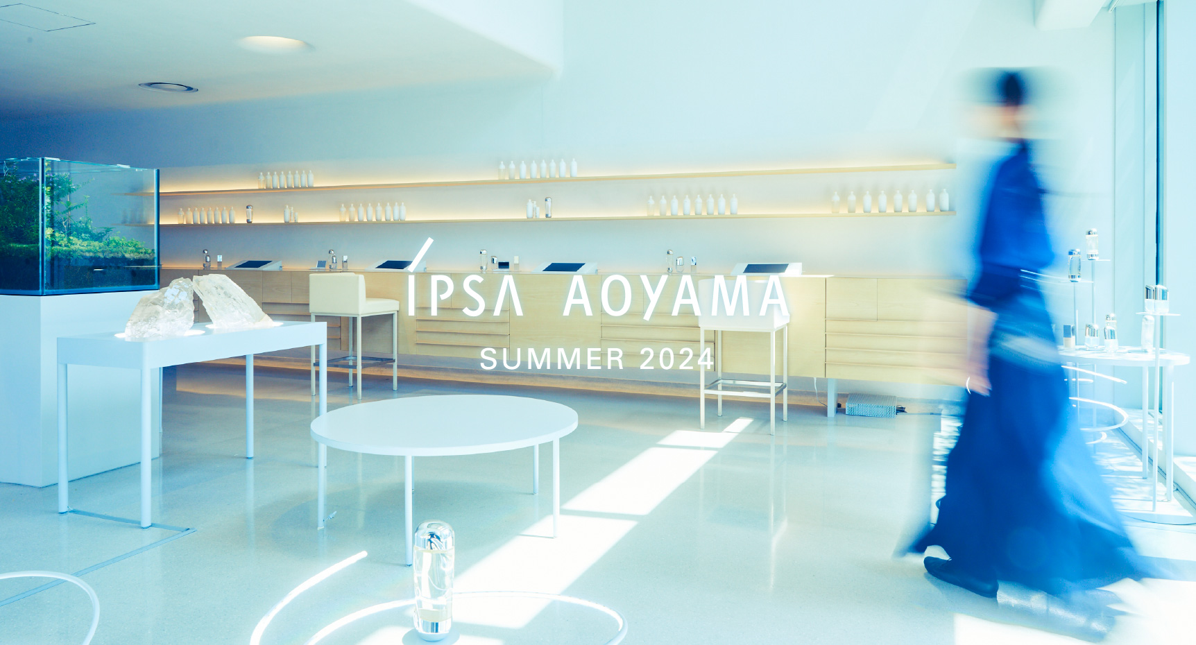 IPSA Aoyama Winter 2023 - 2024