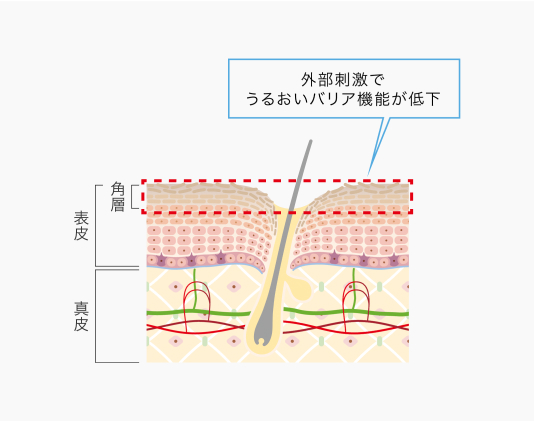 イメージ図