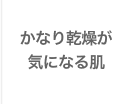 かなり乾燥が気になる肌