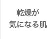 乾燥が気になる肌