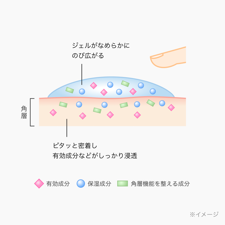 ジェルがなめらかにのび広がる。角層。ピタッと密着し有効成分などがしっかり浸透。有効成分。保湿成分。角層機能を整える成分。※イメージ