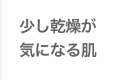 少し乾燥が気になる肌