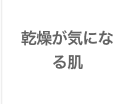 乾燥が気になる肌